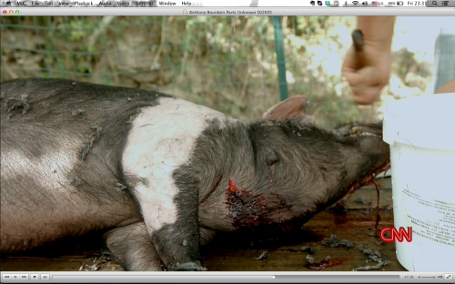 Anthony Bourdain Parts unknown