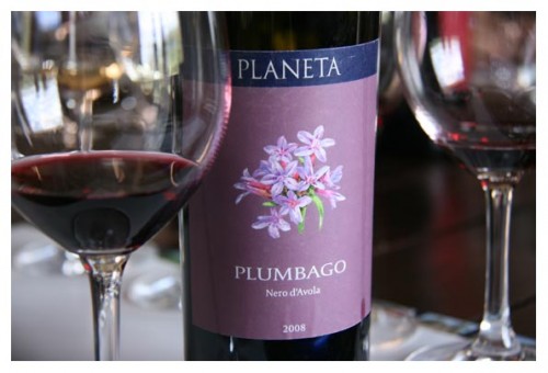 planeta nero d'avola