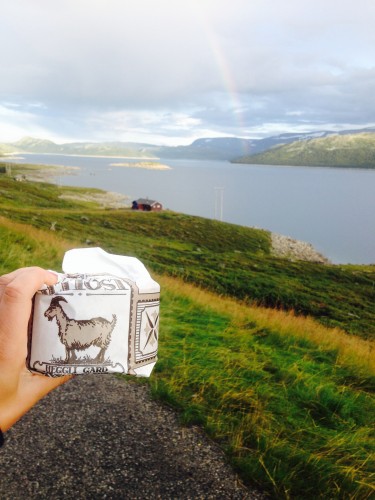 Norway dervynas trip advisor  wild nature fjord goat cheese Norwegian cuisine 